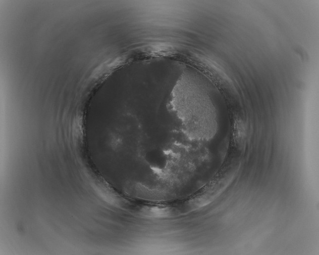 X0000112000506200908031231