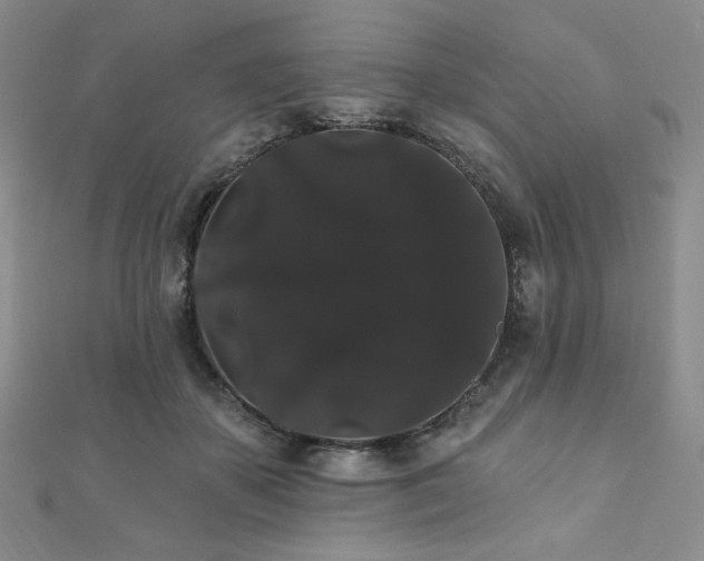 X0000112000507200908031231