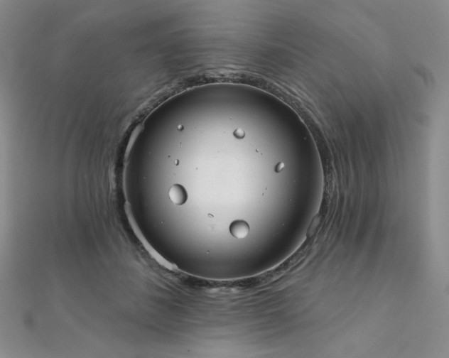 X0000112000508200908031231