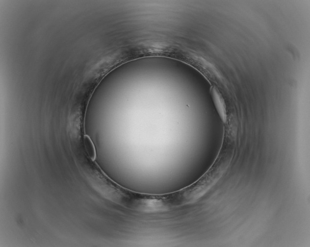 X0000112000509200908031231