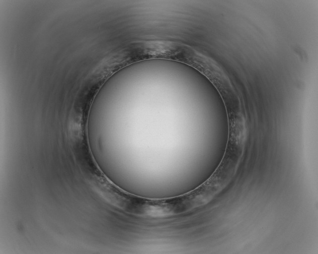 X0000112000510200908031231