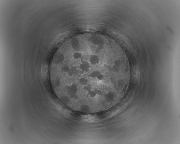 X0000112000511200908031231