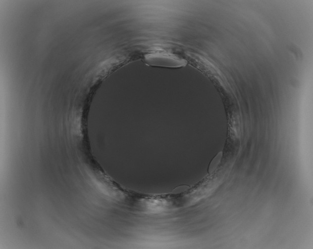 X0000112000512200908031231