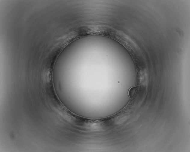 X0000112000514200908031231