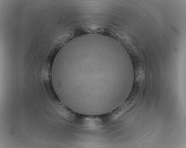 X0000112000515200908031231