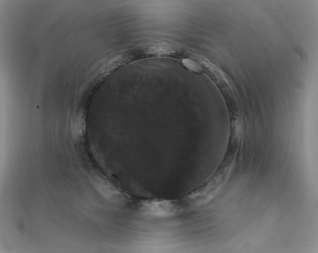 X0000112000517200908031231