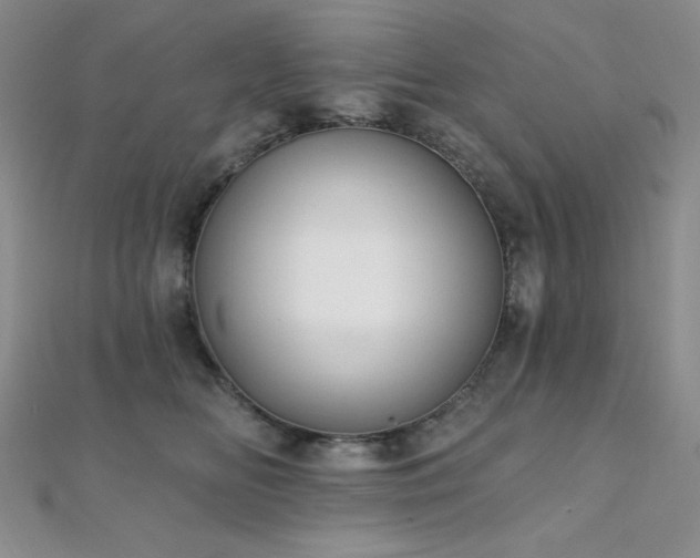 X0000112000518200908031231