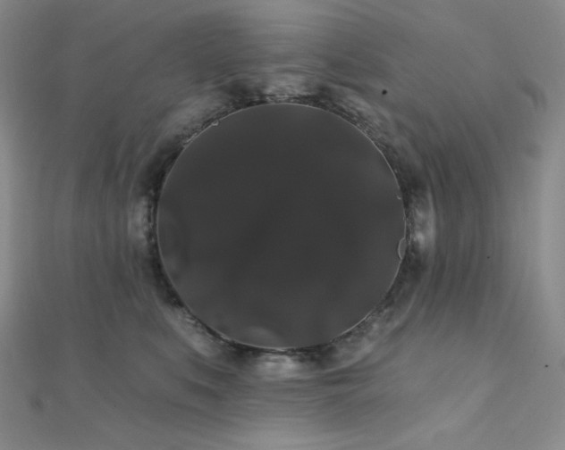 X0000112000519200908031231