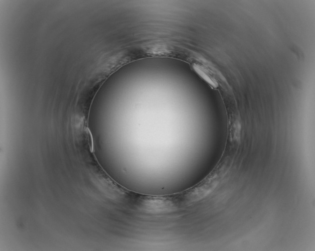 X0000112000521200908031231