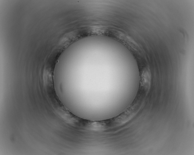 X0000112000522200908031231