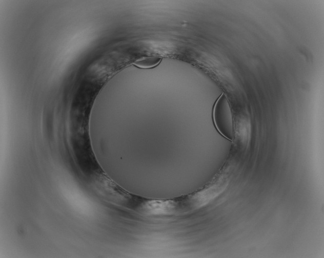 X0000112000526200908031231