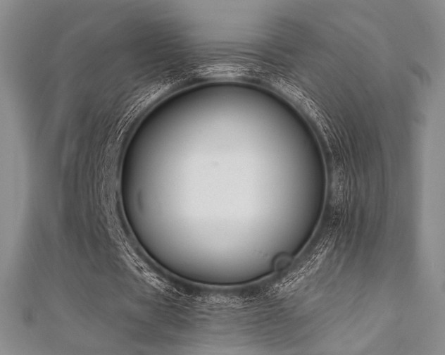 X0000112000529200908031231