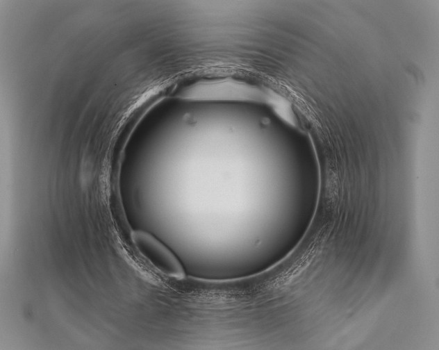 X0000112000530200908031231