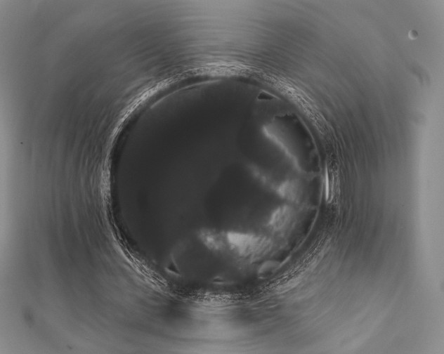 X0000112000531200908031231