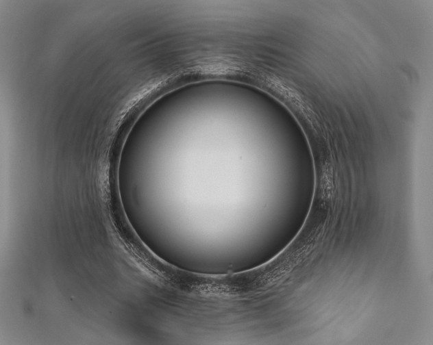 X0000112000535200908031231