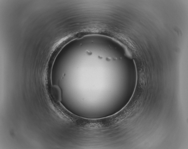 X0000112000536200908031231