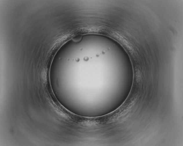 X0000112000537200908031231