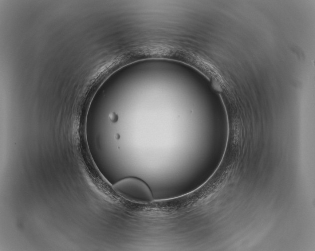 X0000112000538200908031231