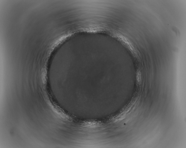 X0000112000540200908031231