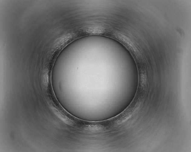 X0000112000541200908031231