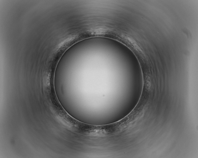 X0000112000543200908031231