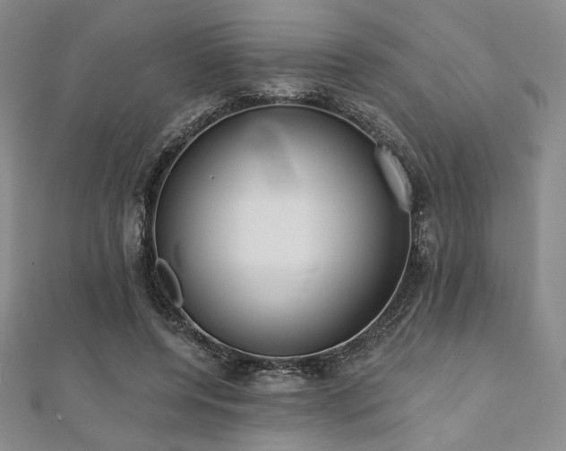 X0000112000544200908031231