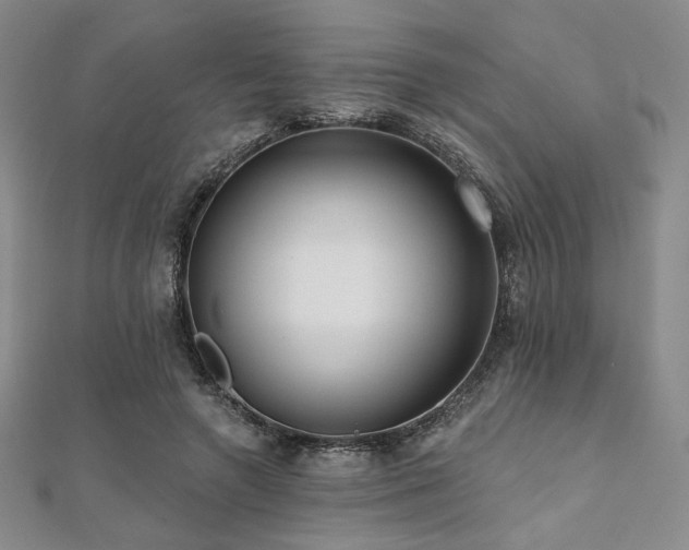 X0000112000546200908031231