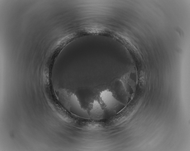 X0000112000547200908031231