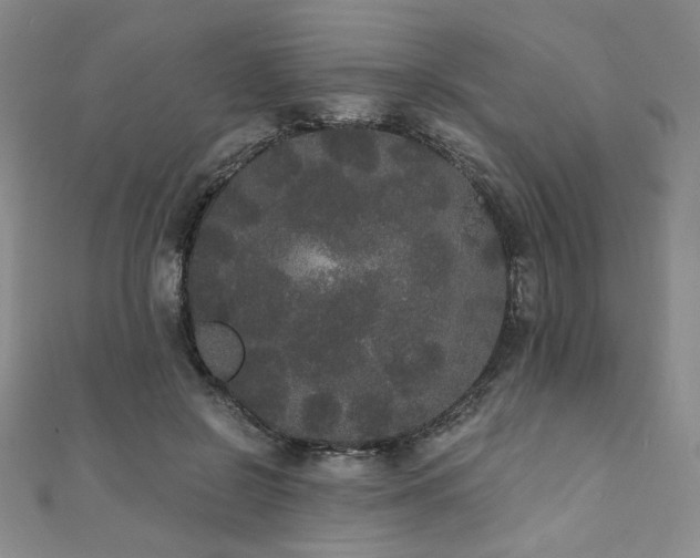 X0000112000550200908031231