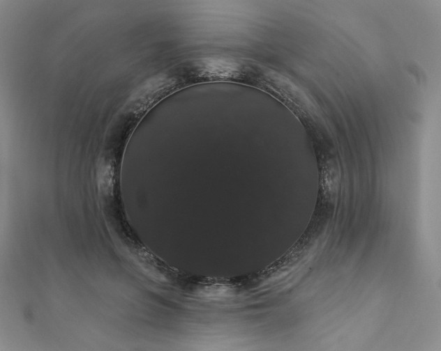 X0000112000551200908031231