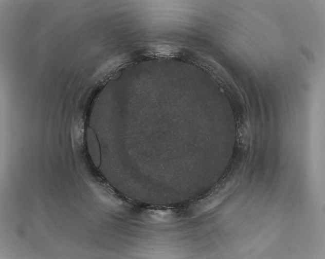 X0000112000552200908031231