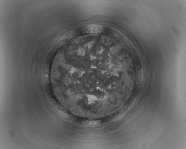 X0000112000553200908031231