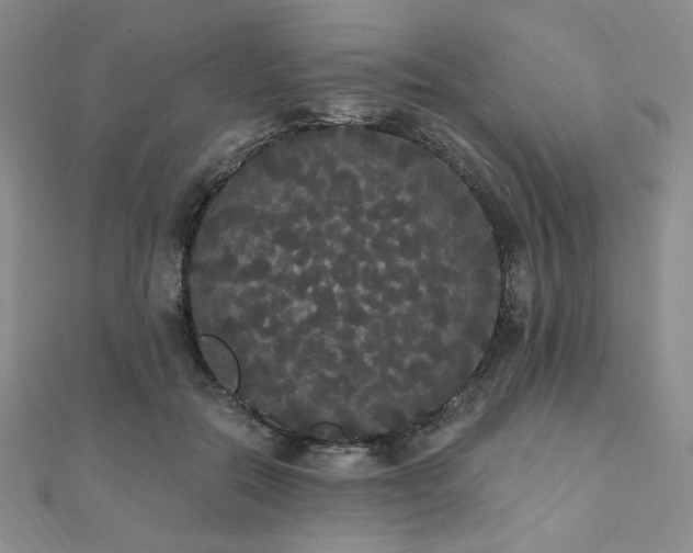 X0000112000554200908031231