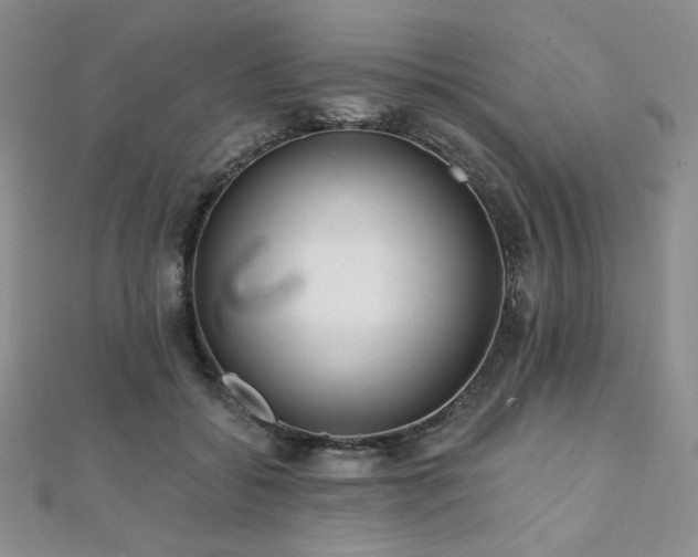 X0000112000556200908031231