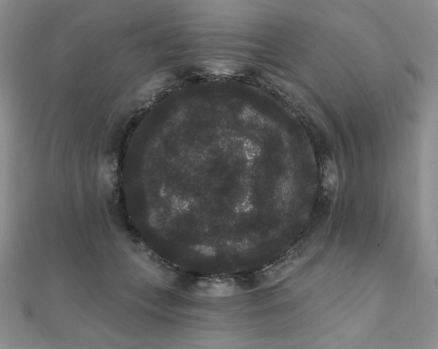 X0000112000559200908031231