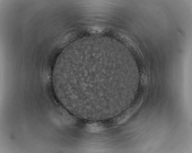 X0000112000561200908031231