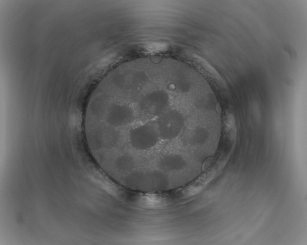 X0000112000565200908031231