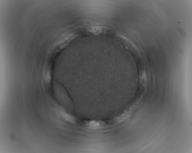 X0000112000566200908031231