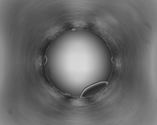 X0000112000567200908031231