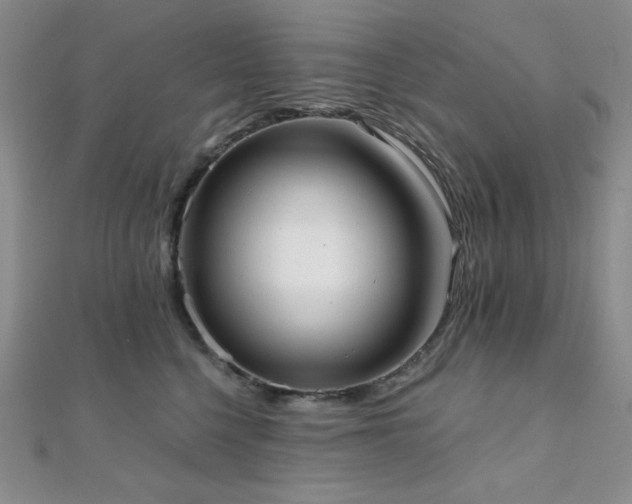 X0000112000568200908031231