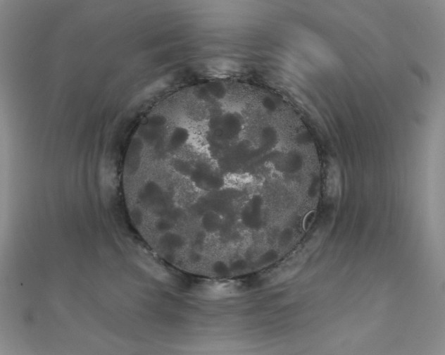 X0000112000569200908031231