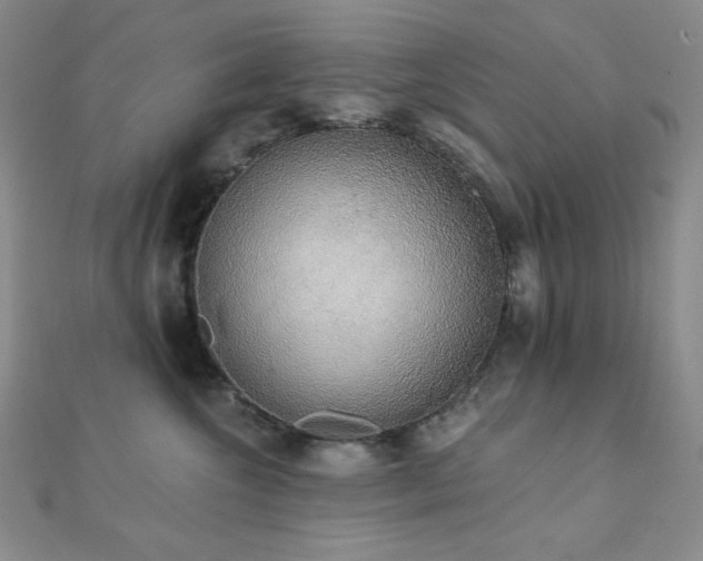 X0000112000572200908031231