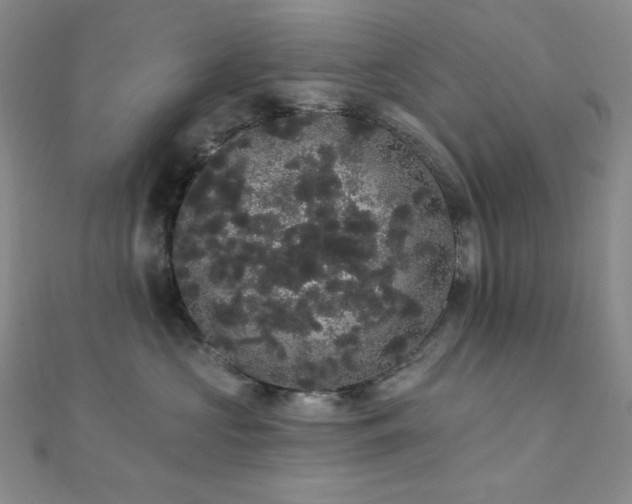 X0000112000573200908031231