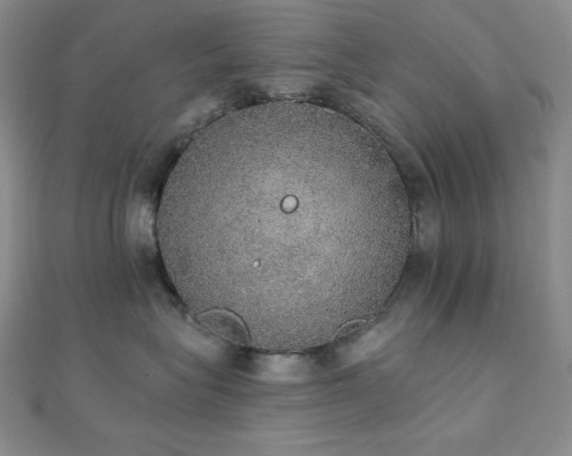 X0000112000575200908031231