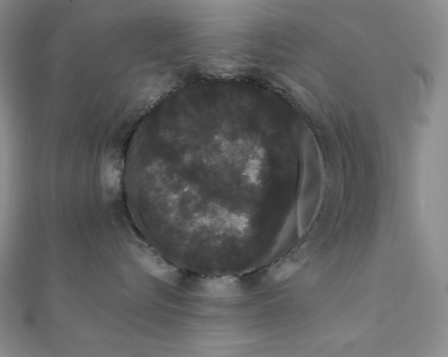 X0000112000576200908031231