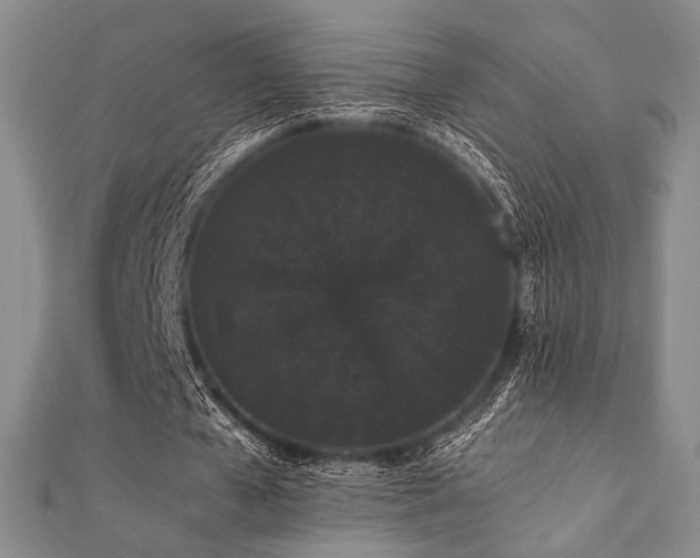 X0000112000577200908031230