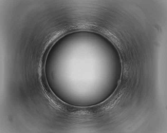 X0000112000578200908031230