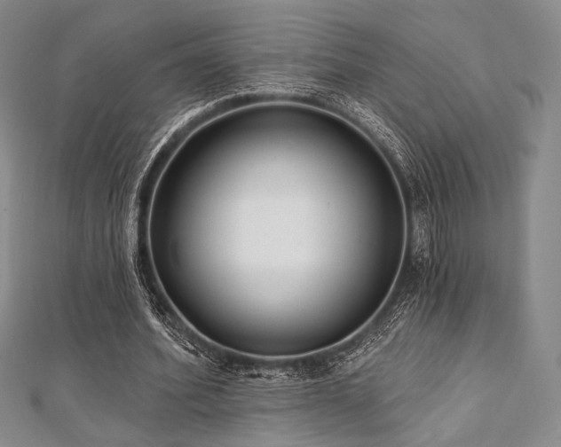 X0000112000580200908031230