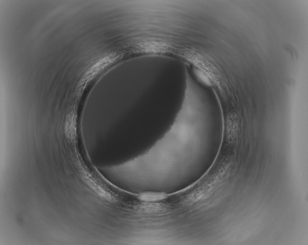 X0000112000581200908031230