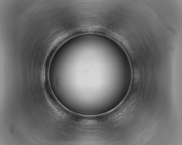 X0000112000582200908031230